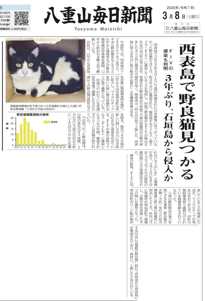 Shimasoba's tweet photo. ノネコ問題は地元紙の1面トップで扱われる大ニュースなのです。島から野良猫が一頭もいなくなるってすごいことだよね。関係者には、本当に頭が下がります。 https://t.co/HfbkSDaunV