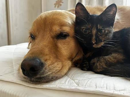 今日もたくさんのいいね、リプ、RP
ありがとうございました😇

本当に感謝感謝です🙏

モクモク木曜日🎵
お疲れさまでした✨

明日からもよろしくお願いいたします。

たけうちーむ
#木曜日 
#お疲れさまでした 
#笑顔は無敵