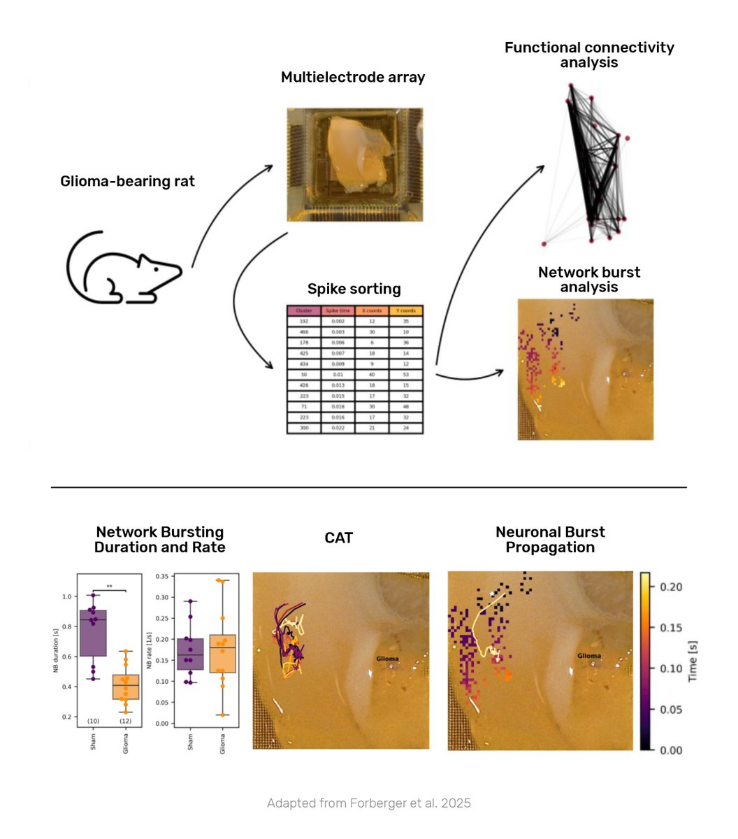 3Brain AG tweet media
