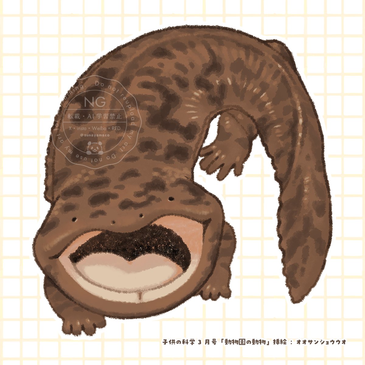 📢おしらせ 子供の科学 3月号（2/10発売） 「動物園の動物」の挿絵を