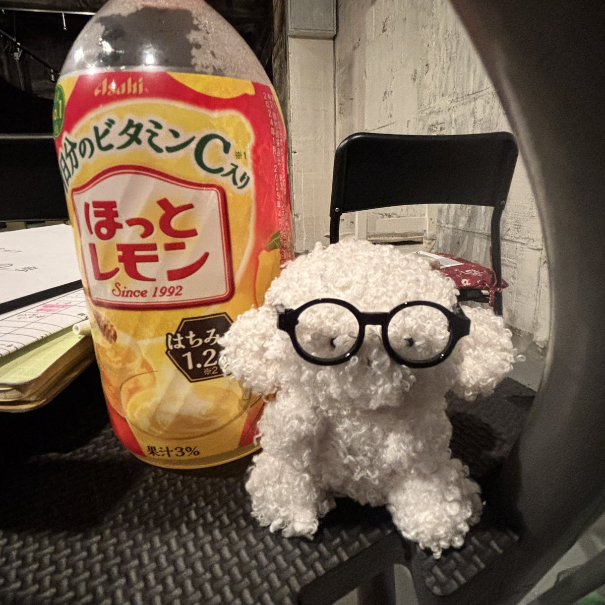 ao_s_6's tweet photo. 本日、小屋入り！
最近お友達になったじょせまると共に👓
#穴の会 https://t.co/Kp9rbxJ5WK
