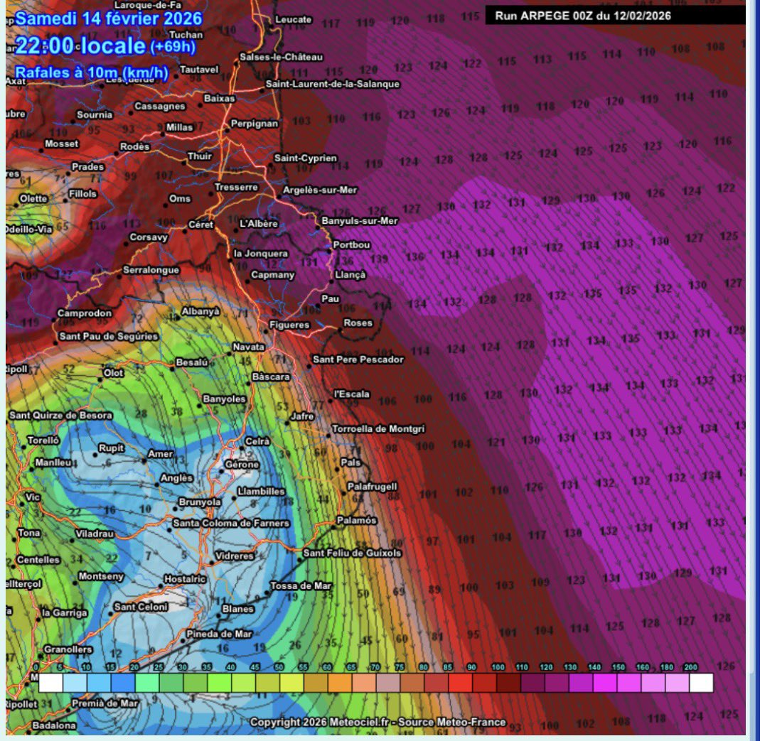 Hugo Scoccia tweet media