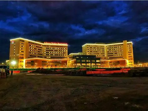 ÇÜ Balcalı’ya 250 yataklı çocuk hastanesi
gazette.com.tr/Haber/adana/cu…