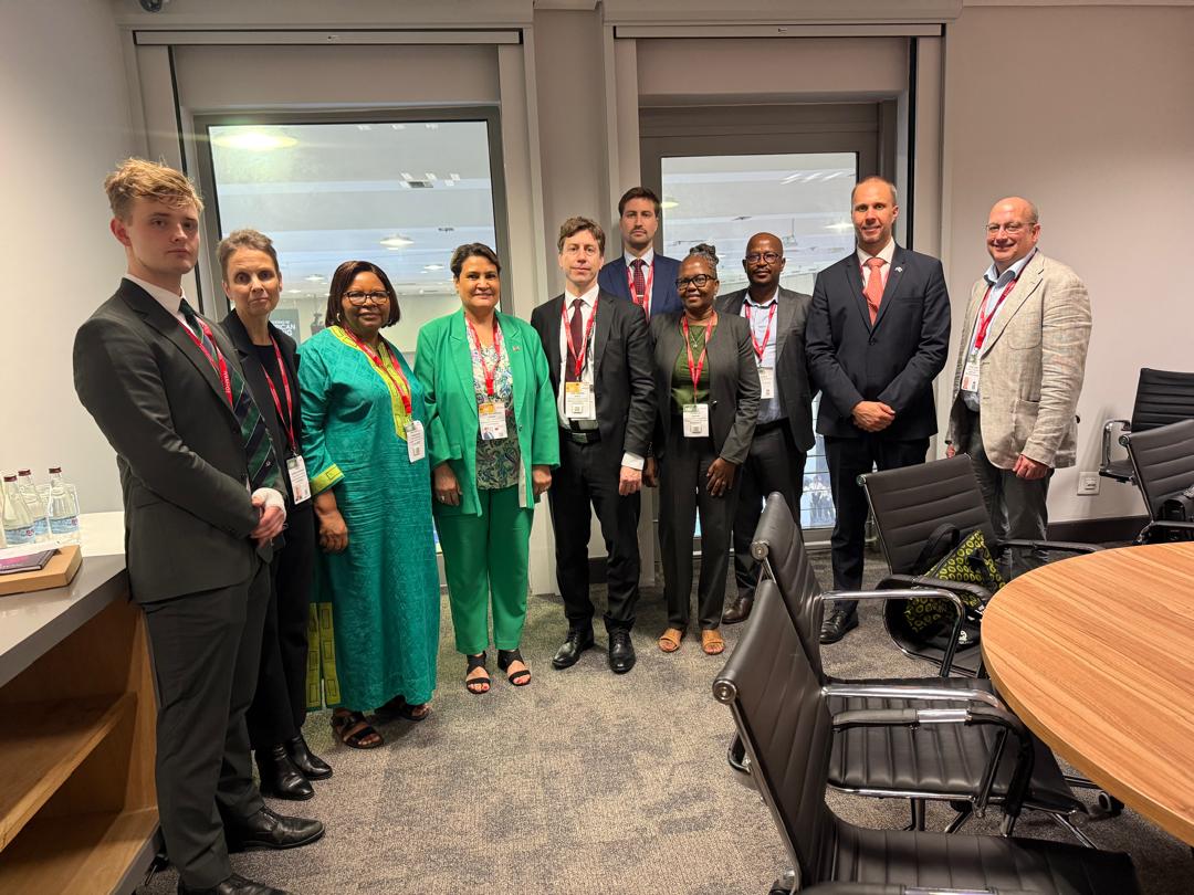 Finland in Namibia tweet media