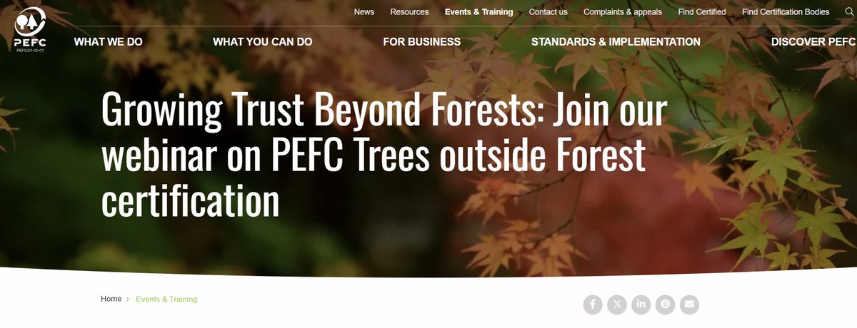 ReForest Project tweet media