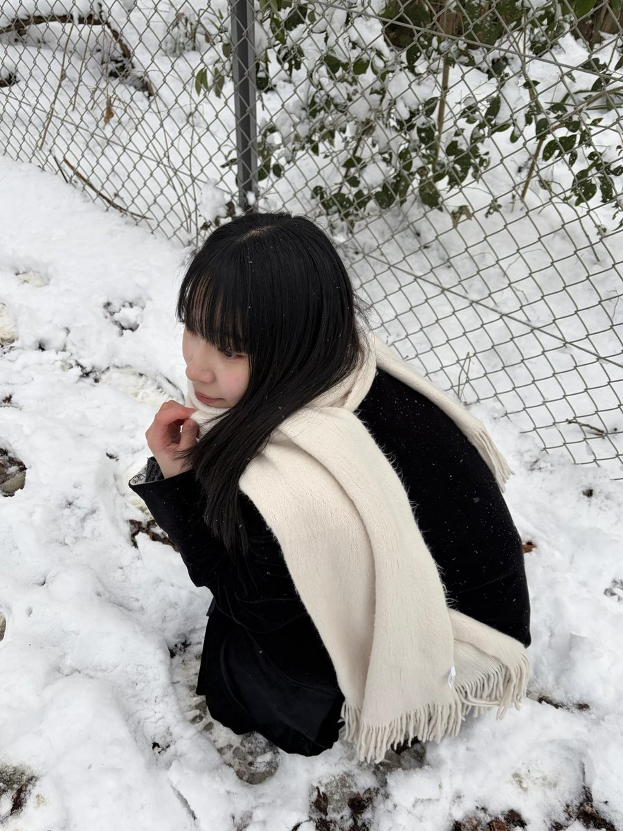 雪でした。