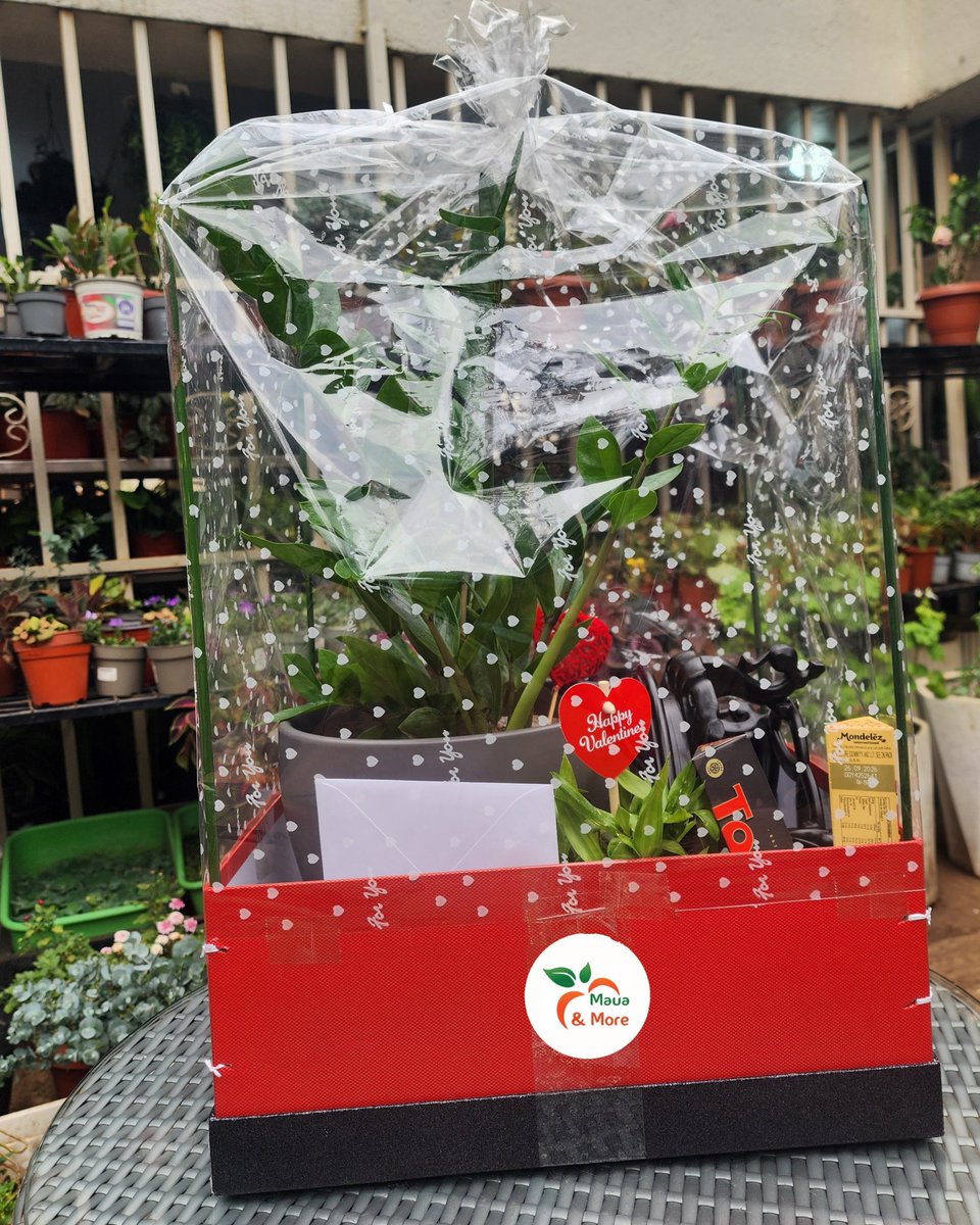 Our Thursday Treat is here — and it’s blooming with love 🌿💗

This Valentine’s, skip the ordinary and gift something that truly grows. Explore our beautiful collection of natural plant hampers — thoughtfully curated to symbolize love that blossoms, thrives, and lasts.