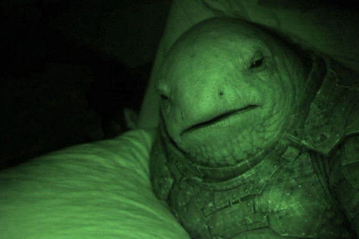 GWW 

This image is being used frequently

$whitewhale