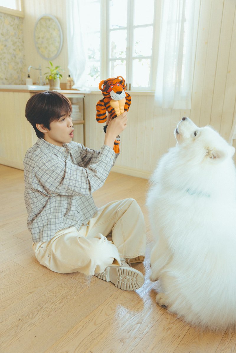 ムキムキタイガー（ダッツくんが持ってきてくれたオモチャ）で遊んでいるショットを公開！後藤さんとムキムキタイガーを目の前に、ダッツくんも熱い歓声を上げていました。

#INI #後藤威尊 <a href="/official__INI/">INI</a>