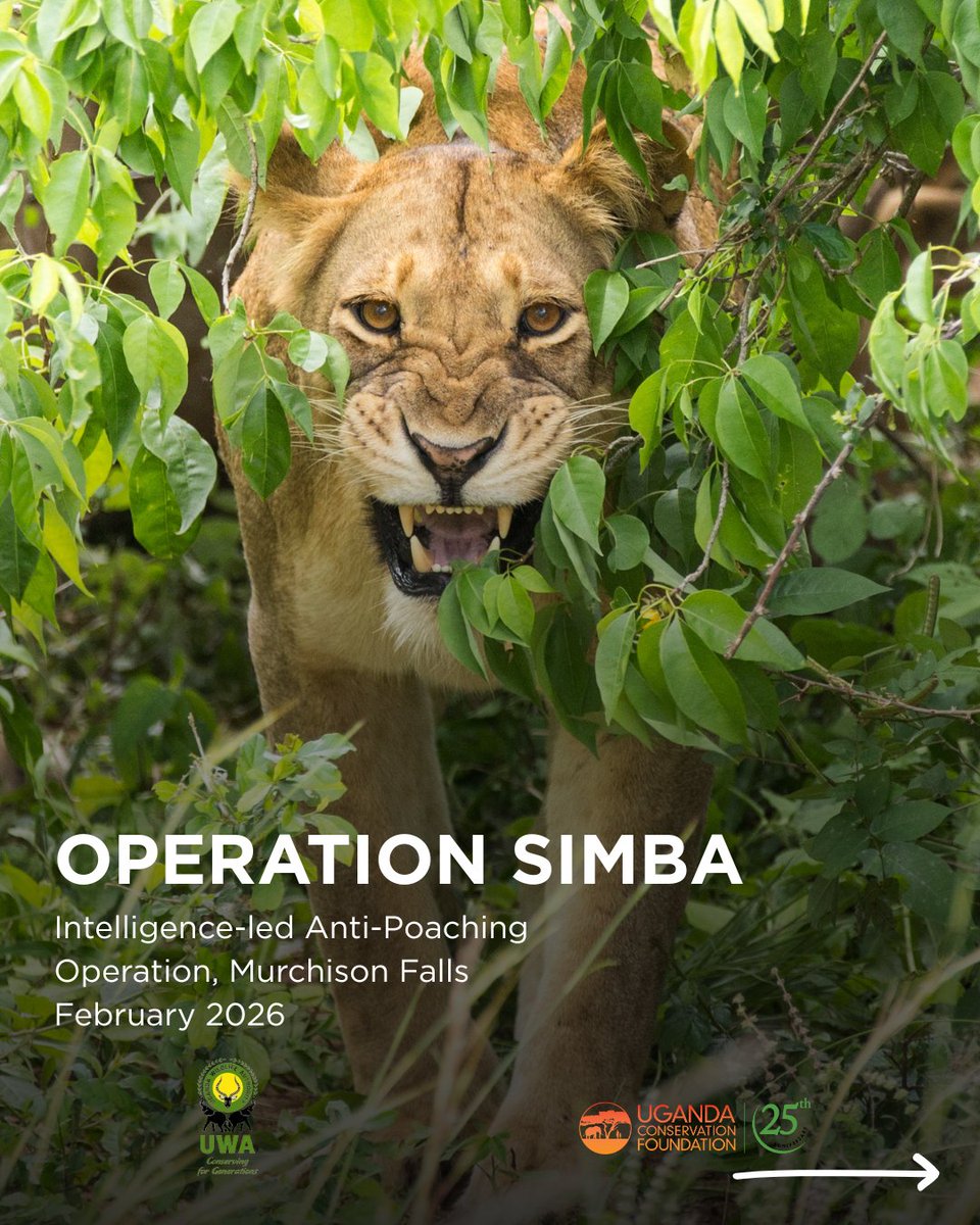 UgandaCF tweet media