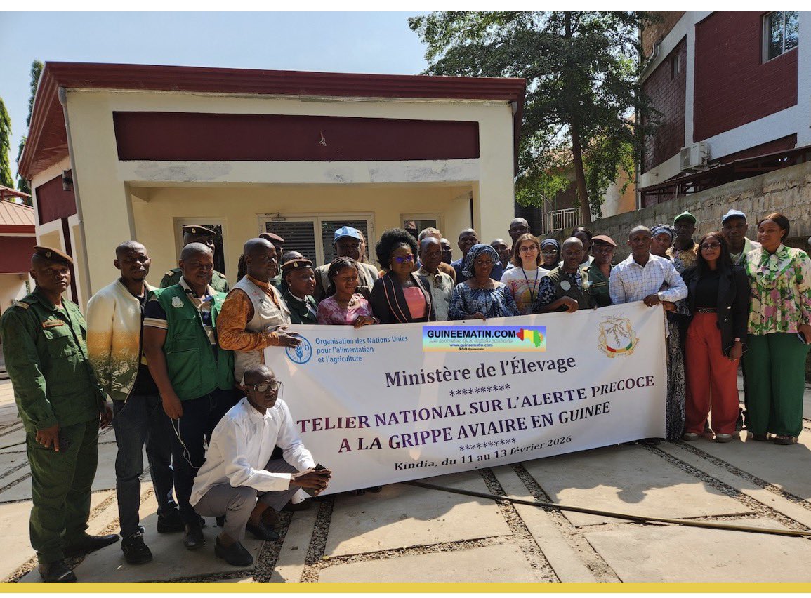 IsmailaSeck16's tweet photo. Kindia : la FAO lance un atelier national sur l’alerte précoce à la grippe aviaire https://t.co/Xd66VFTEWB via @Guineematin.com https://t.co/PXQZuubI3i