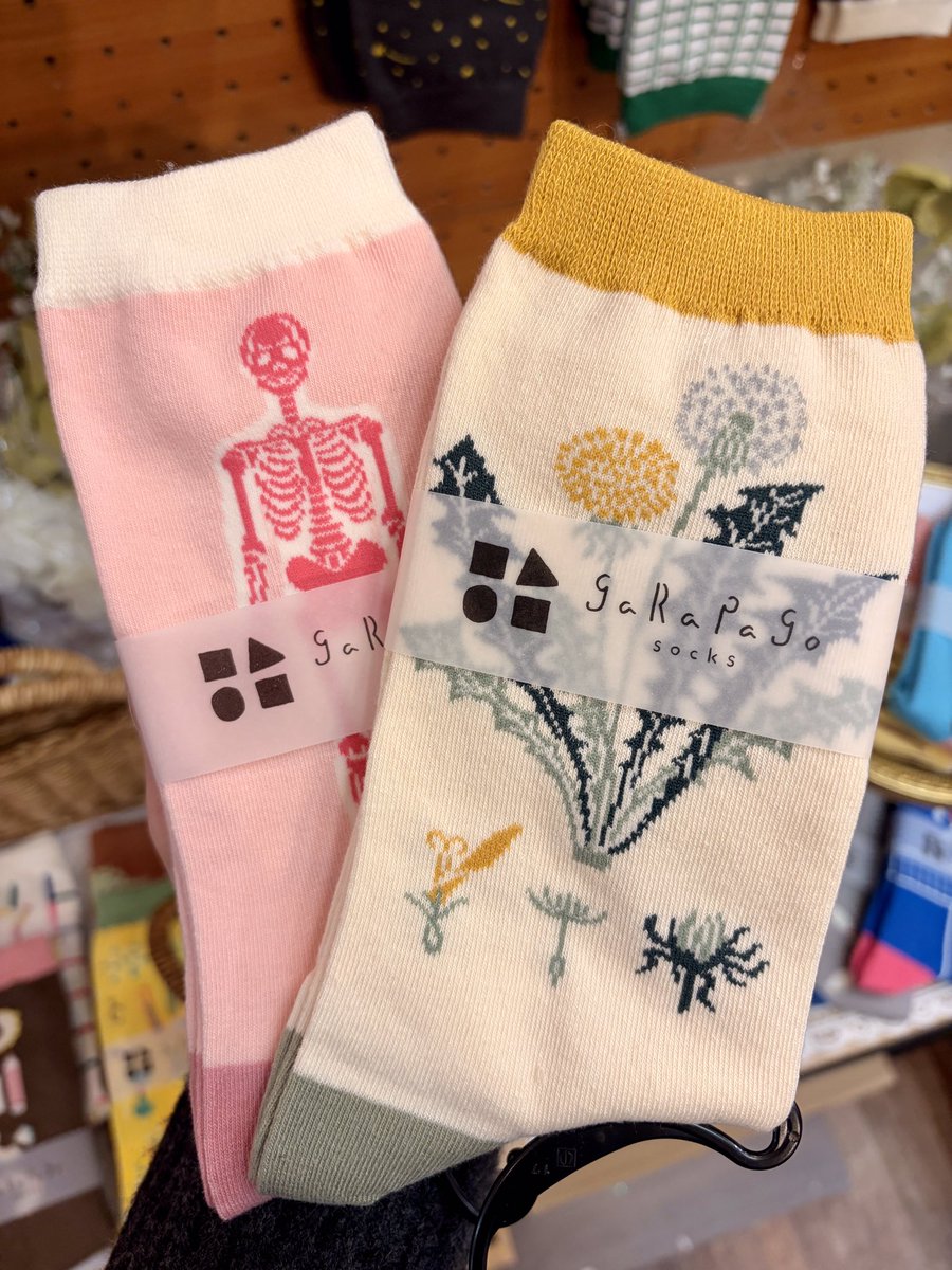 140_ishimaru's tweet photo. 本店地下フロアに #GreenFlash の「#garapagosocks (ガラパゴソックス)」が入荷しました🙌
思わずクスッとするデザインが魅力です🥺シンプルコーデの日も、足元にこの一足があるだけで気分が上がります✨
自分用にもギフトにもおすすめです♪ https://t.co/WquKJ2lFkh