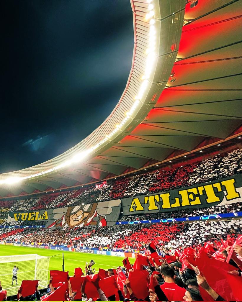 IvaanBlanco26's tweet image. Tiene que rugir el Metropolitano.

A muerte... ¡Vamos con todo!