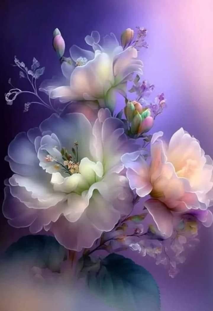DomangeElis's tweet photo. 🌷🌿🌸🍃¸.•*¨⁀⋱‿✨Jeudi soyeux💜 https://t.co/FwXPMoUACX