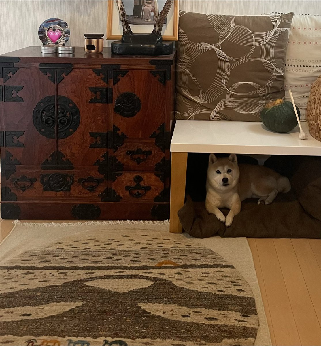 mykM297859 mykさん💕ありがとうございます😆 和箪笥が好きで、見つけ