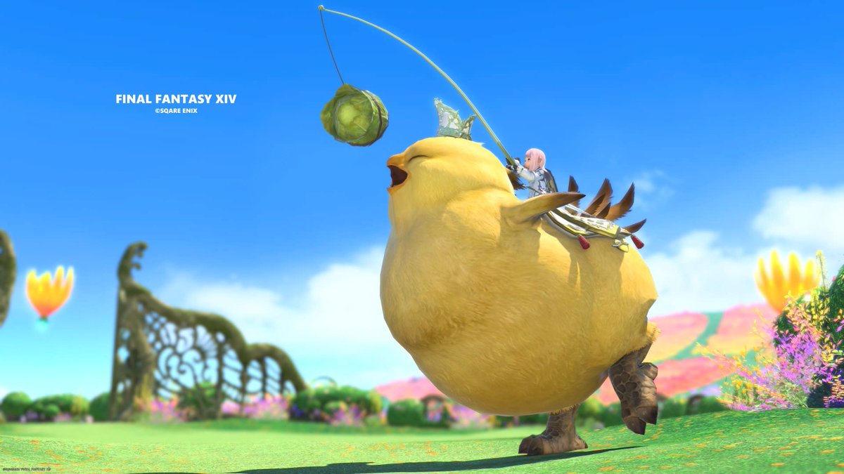 デブチョコボマウントとれた！！！
毎日タンヒラであらゆるルレをぶん回してた甲斐がありましたわ…