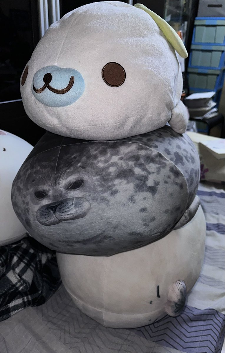 hazu ☔️🦭 (@hazuu_t) / Posts / X