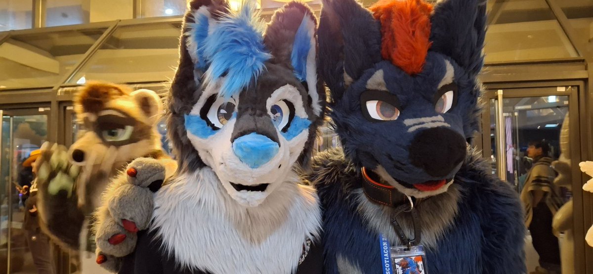 Wolf Grim / Lupus Torva tweet media