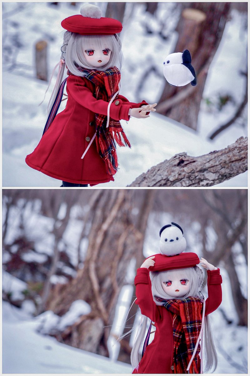 白い奇蹟が舞い降りて⎛˶• ▴ • ˶ ⎞