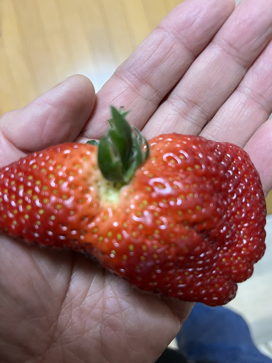 kfj035's tweet photo. 歪なイチゴ！ https://t.co/xEvvyQH6Rk