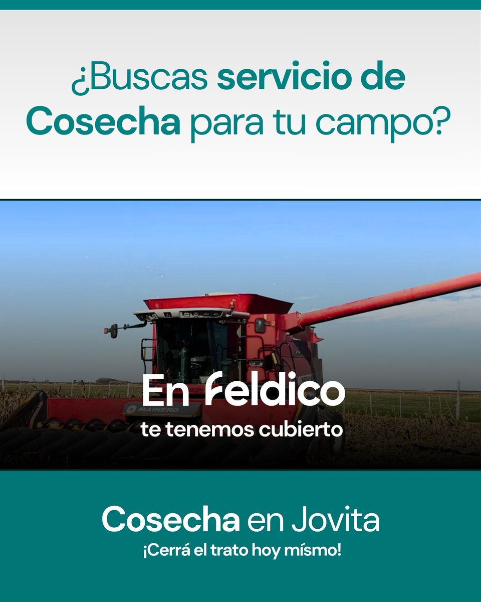 feldico's tweet image. 🌾 ¿Buscás Cosecha?
En Feldico te tenemos cubierto.

🚜 Massey Ferguson MF 9690 (2012)
📍 Jovita, Córdoba

💪 Características destacadas:
• Ancho de cosecha: 9m
• Capacidad de tolva: 7000L
• Sistema de trilla: Axial

Cerrá el trato hoy 👇
🔗 feldico.com/cosecha/jovita…