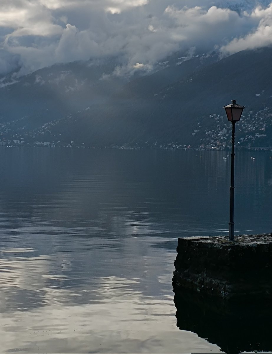 Victoria Francis tweet media