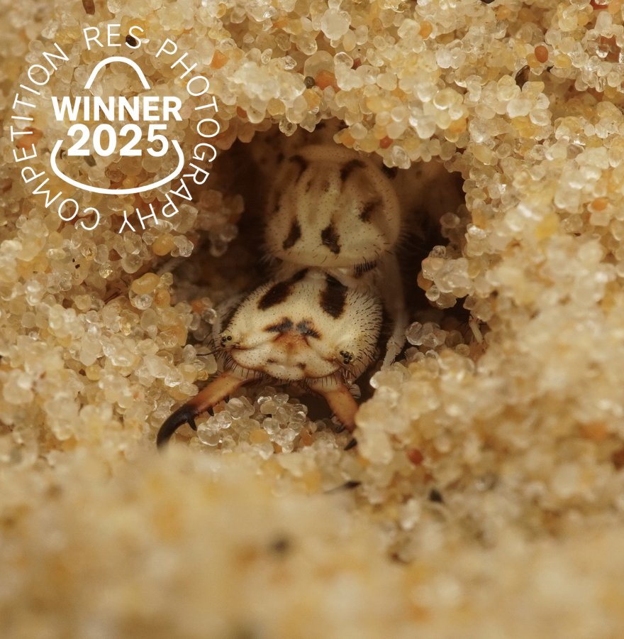 Insect Week tweet media