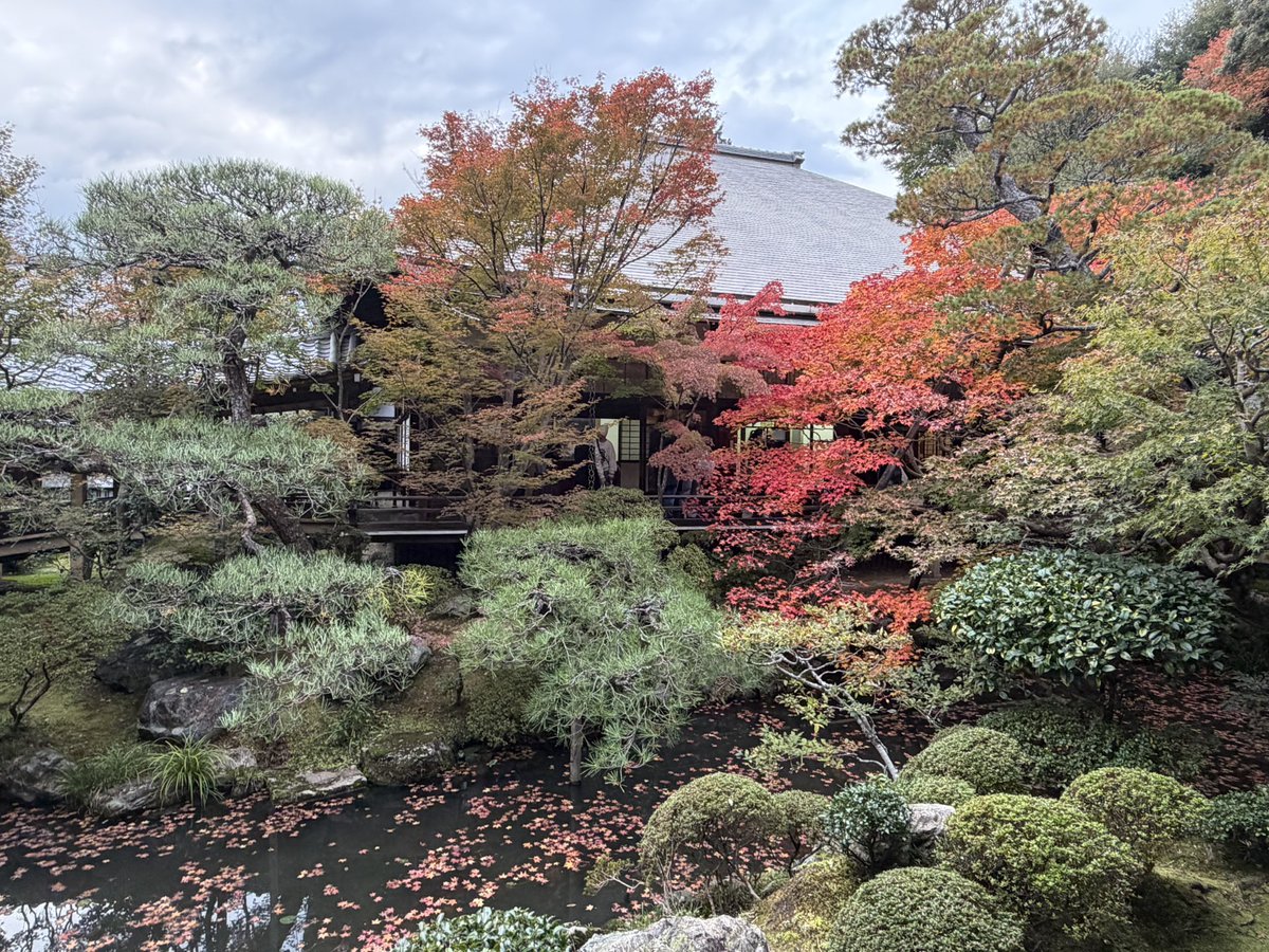 uzikihune's tweet photo. 永観堂
「もみじの永観堂」と称される屈指の紅葉の名所。本尊の「みかえり阿弥陀」は、優しく後ろを振り返る珍しいお姿で知られ、慈悲の心を表している。秋の絶景と歴史が息づく古刹。紅葉の時期に行くのがおすすめです！！ https://t.co/Xn7VYCq6mJ