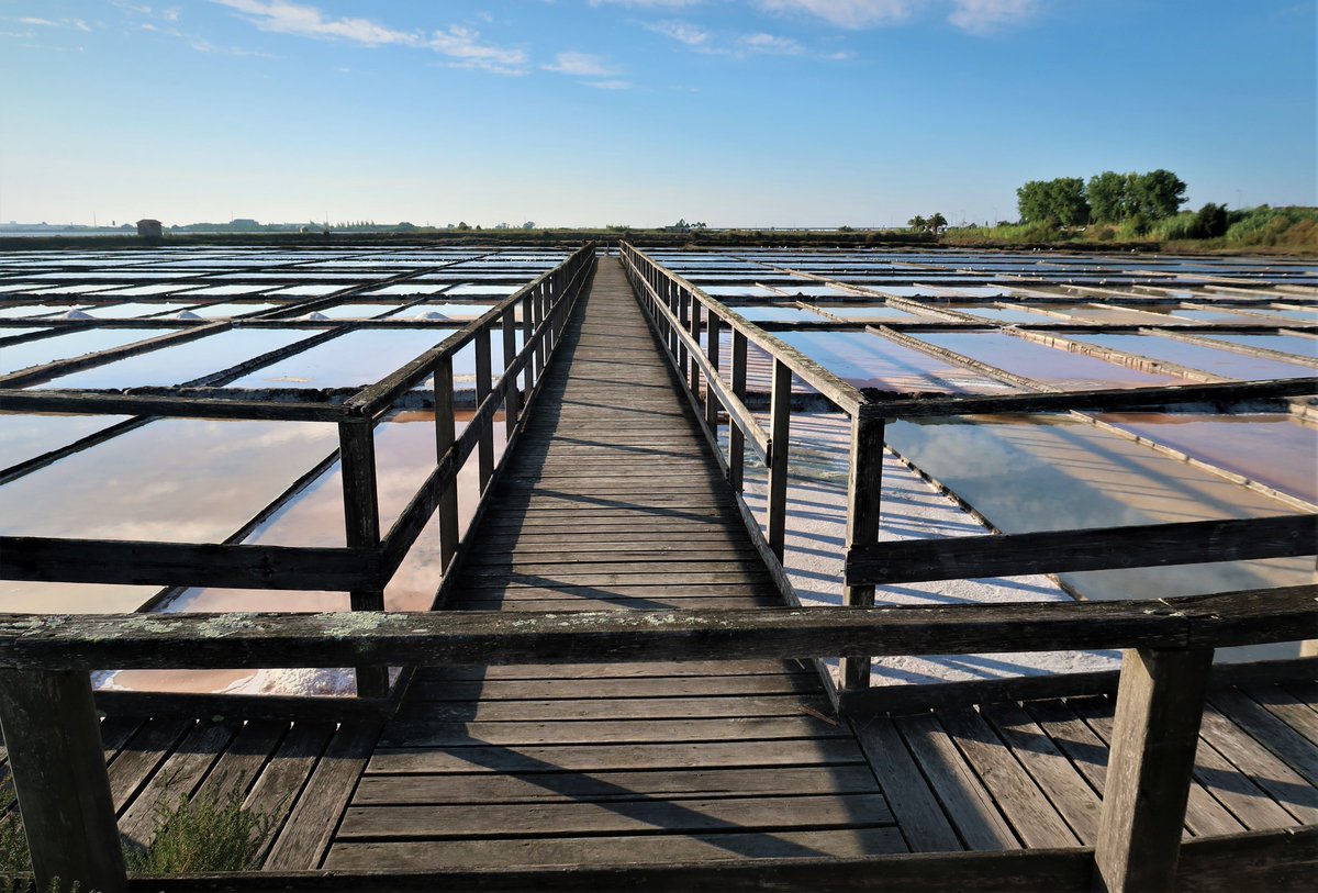 isabelpinheiro's tweet photo. #Alphabetchallenge #WeekFforFramed 

 #saltpans  #university   #Aveiro #Portugal https://t.co/VbwDjXjAZV