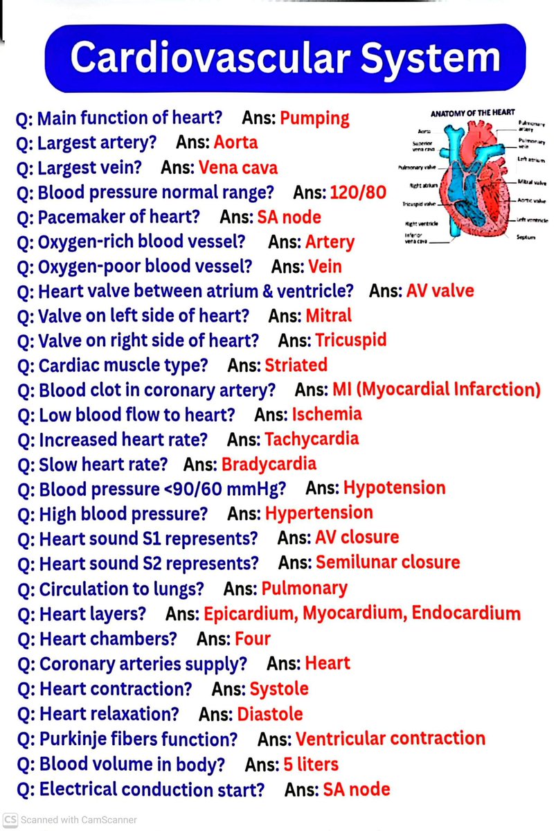 Cardiovascular System. 
Plz 🔁❤