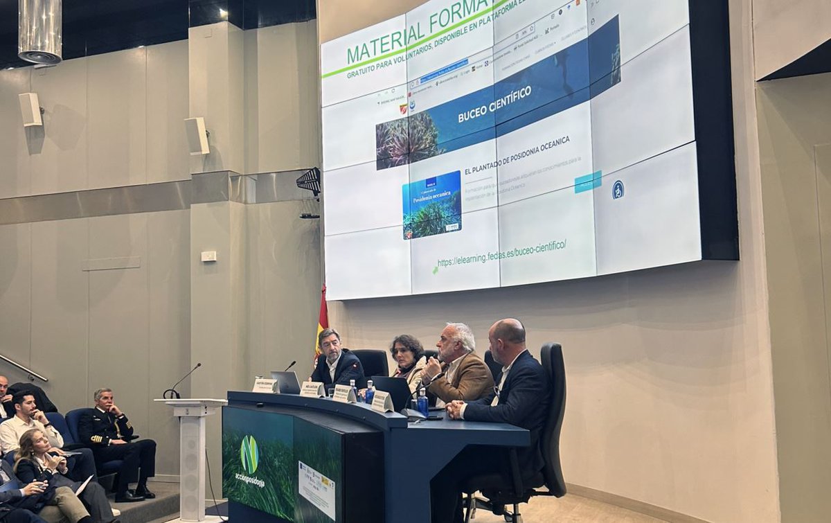 #MedioAmbiente | El proyecto "Acción Posidonia" constata que la implicación del sector pesquero y de buceadores posibilita la restauración marina a gran escala

buff.ly/ifr5iJN