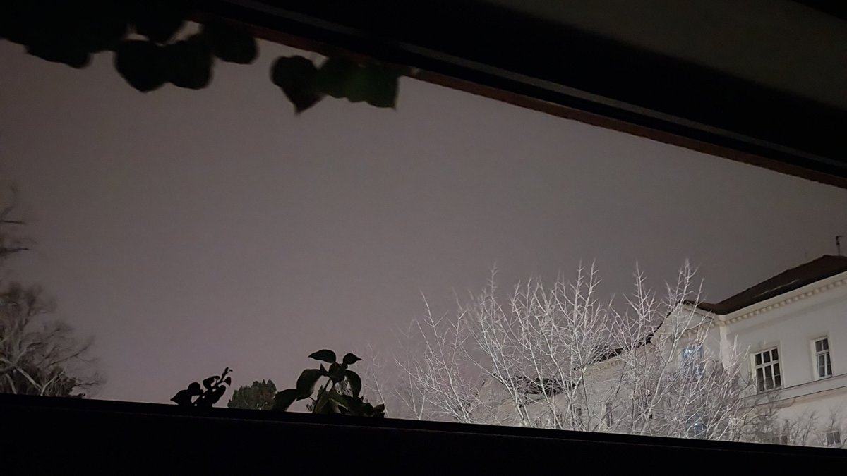 Radmila Kourilova (@radmila_slecpa) on Twitter photo 