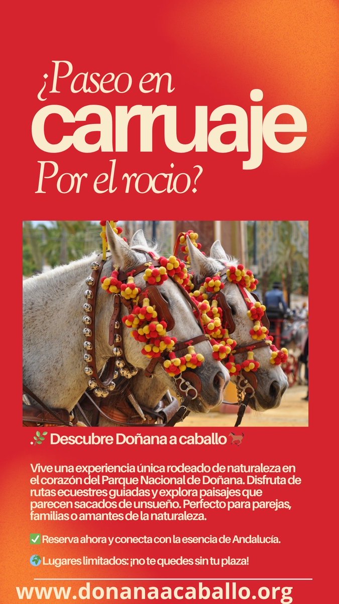 a_donana's tweet photo. Tus eventos rocieros #doñanaacaballo https://t.co/hybBY3vXAv