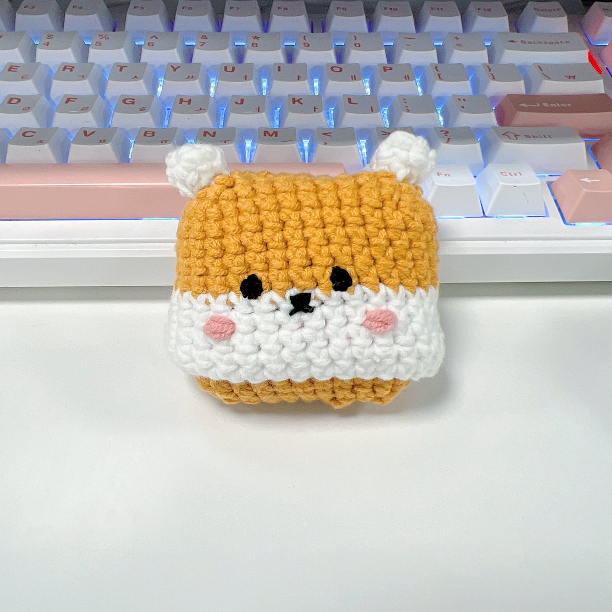 채또또 tweet media