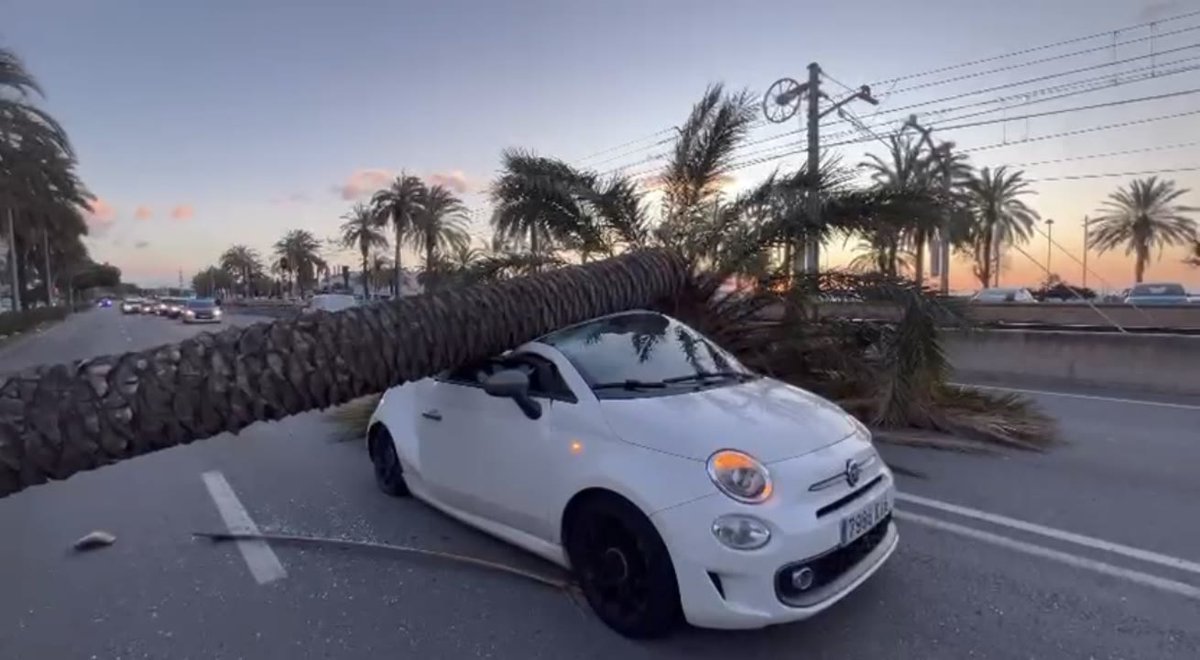 VentdelNord tweet media