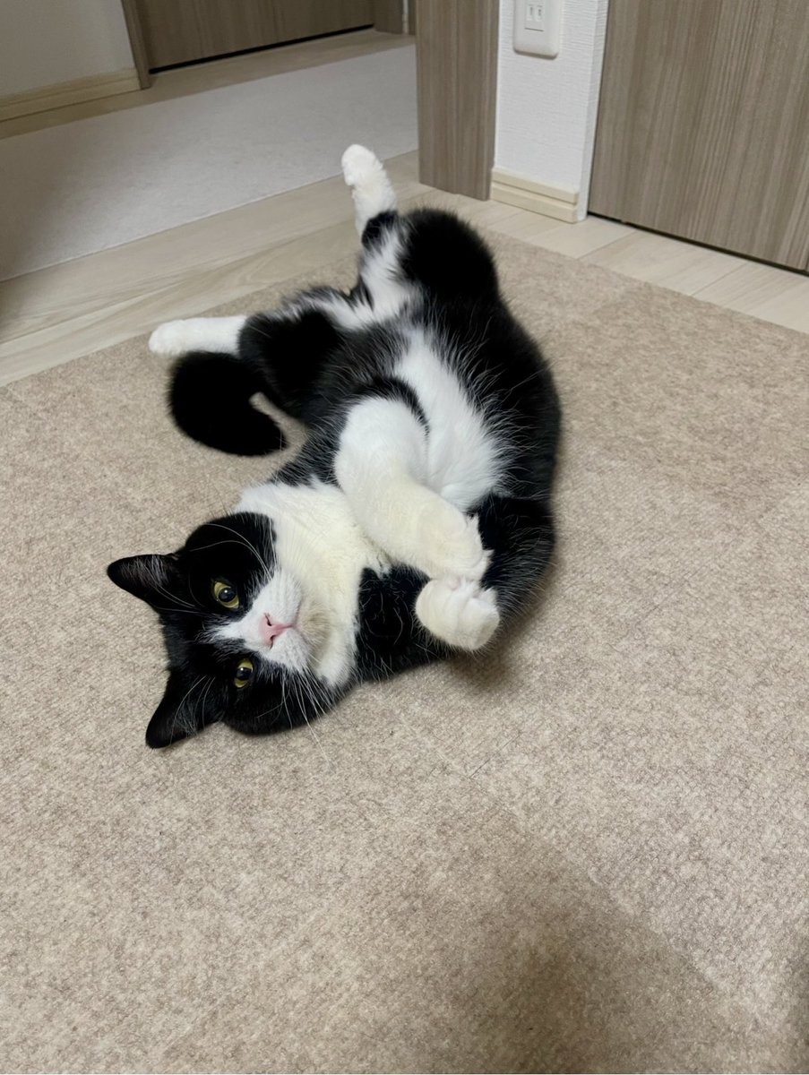 たろう (@taro20216) / Posts / X