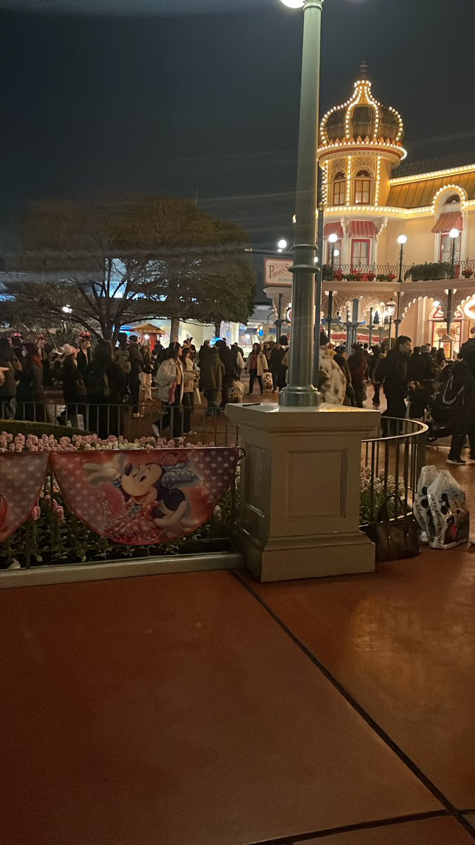 冠葉菌 tweet media