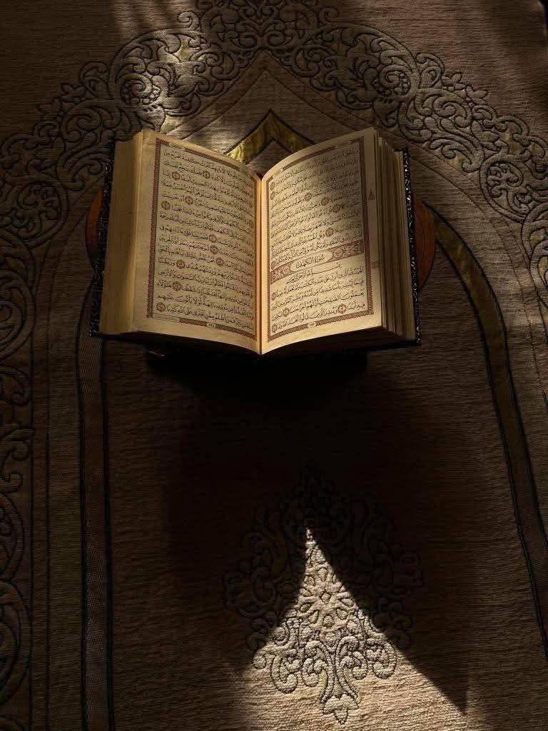 waadQuraan's tweet photo. فإن القلب يحيا به حياةً لا تشبهها حياة أخرى🤍. https://t.co/HtZGYhX4et