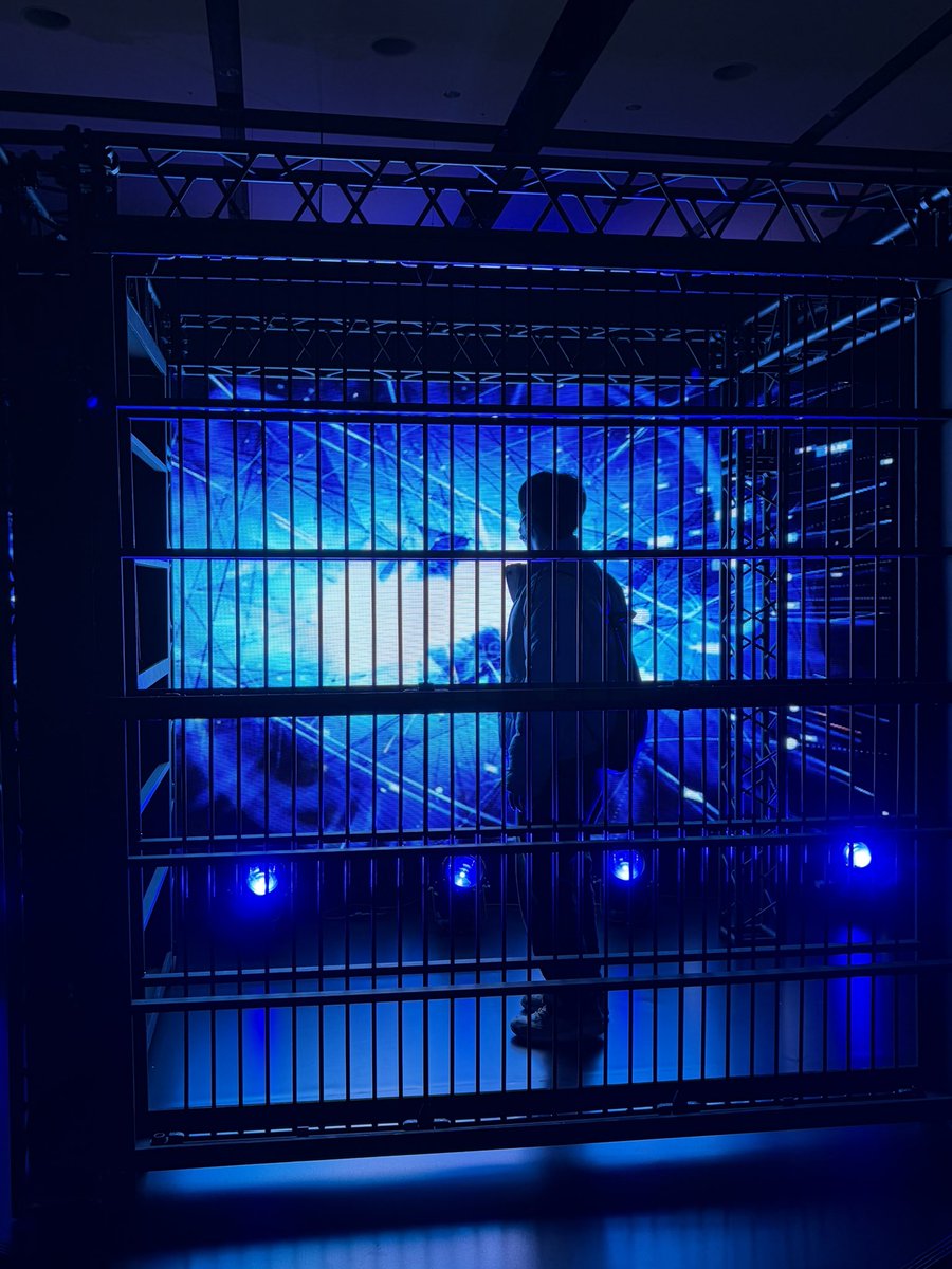 Adotomy行ってきたー！ もうAdoちゃんを感じて幸せでした！ グッツこれ