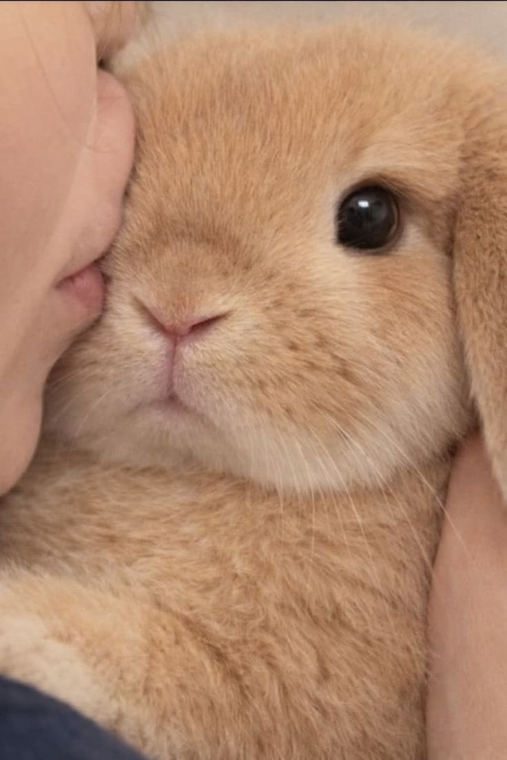 vibesnitalucy's tweet image. 🫸🏻 อ้วนอย่าหอมหนู แก้มยุบหมดแย้ว !