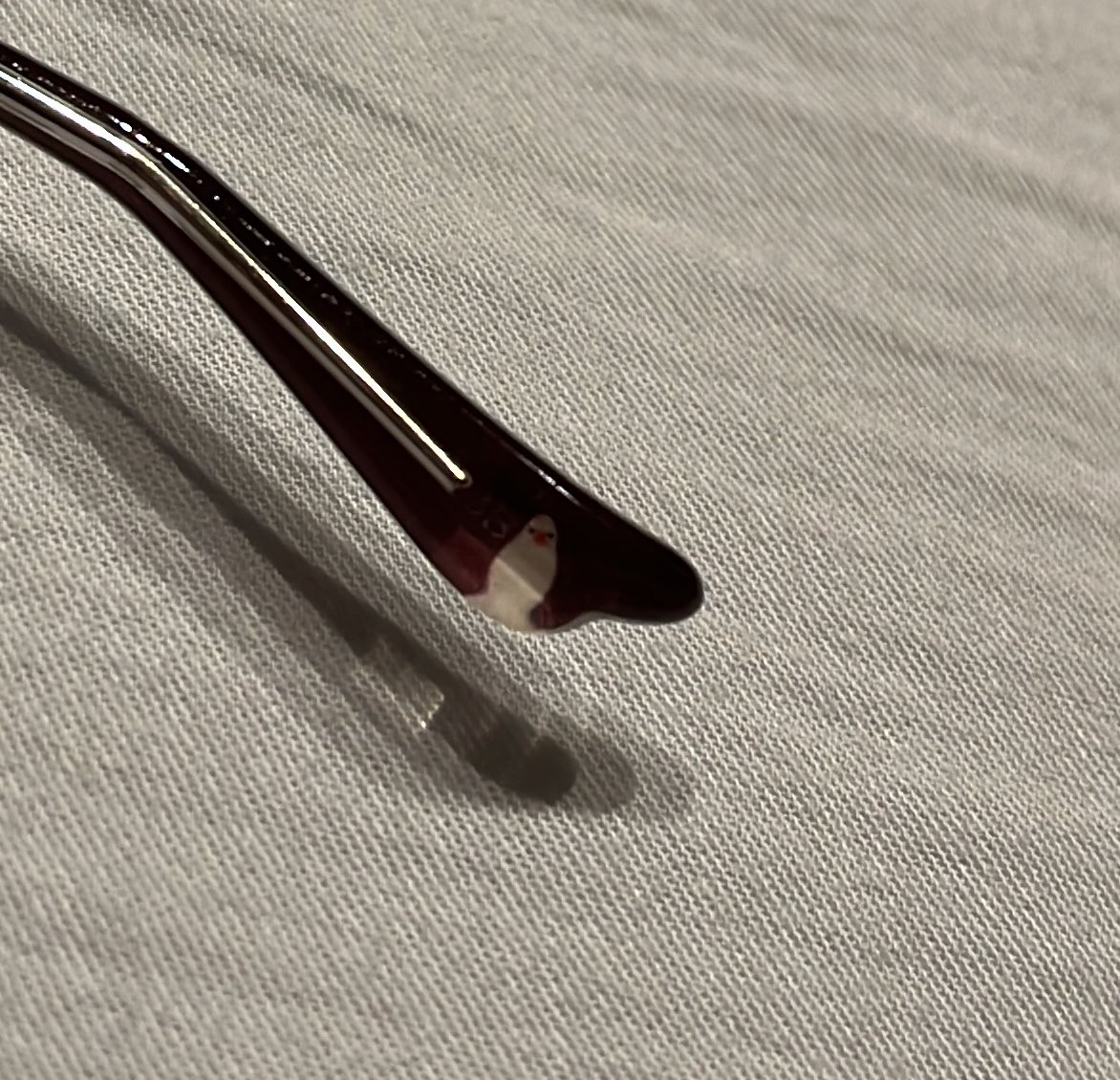 無くしたと思っていた鳥メガネが出てきたのでコンタクトよりメガネ派なこの頃です👓

フレームの足跡とすみっこにちょこんといる文鳥が好き🫶
