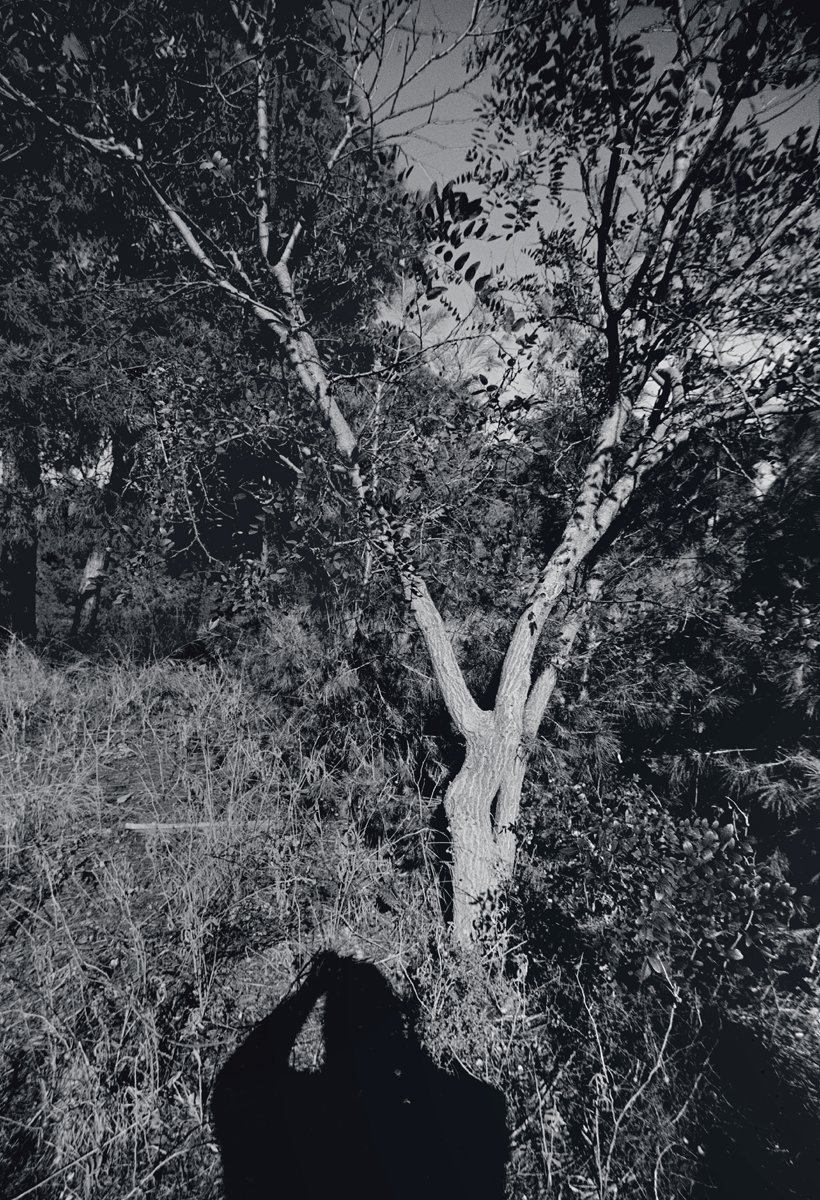 #περιαστικόδάσος #Θεσσαλονίκη
#suburbanforest #Thessaloniki
#selfportrait #forestscape
#chemicalphotography #ΣέιχΣου
aka #analogphotography
#monochromaticphotography
#blackandwhitephotography
#filmferrania #orthochromatic
#35mm #slr #rodinal #adonal
📷ΣΔ [2024]