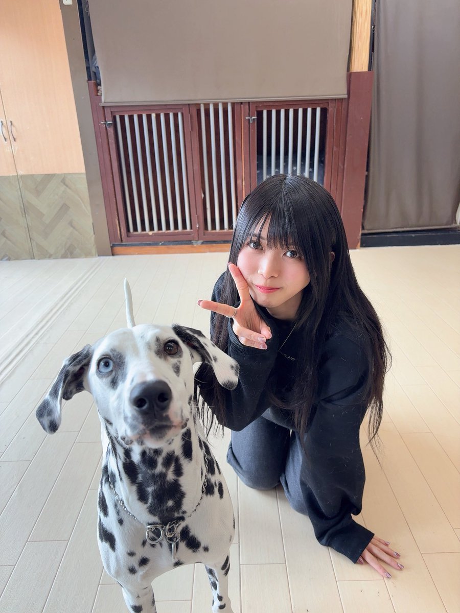 今日は朝から名古屋で
沢山のワンちゃん達と触れ合いました♡
近日中にYouTubeあげるね〜！！
#首輪型骨伝導集音器 #Vibonenezupet