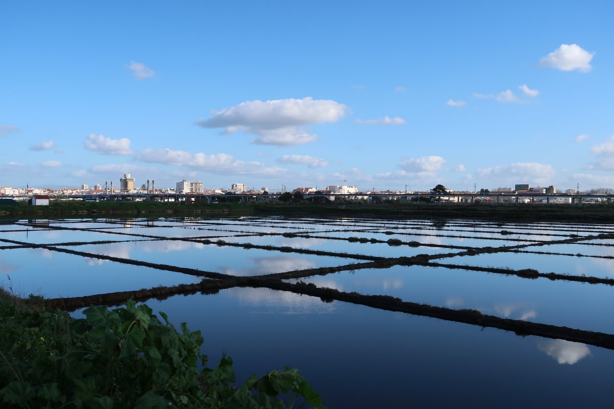 isabelpinheiro's tweet photo. #Gallery365in2026FebShore
@Gallery365photo   

#saltpans   #10MinutesFromHome  #blue
#Aveiro   #Portugal https://t.co/DnszJGEVhU