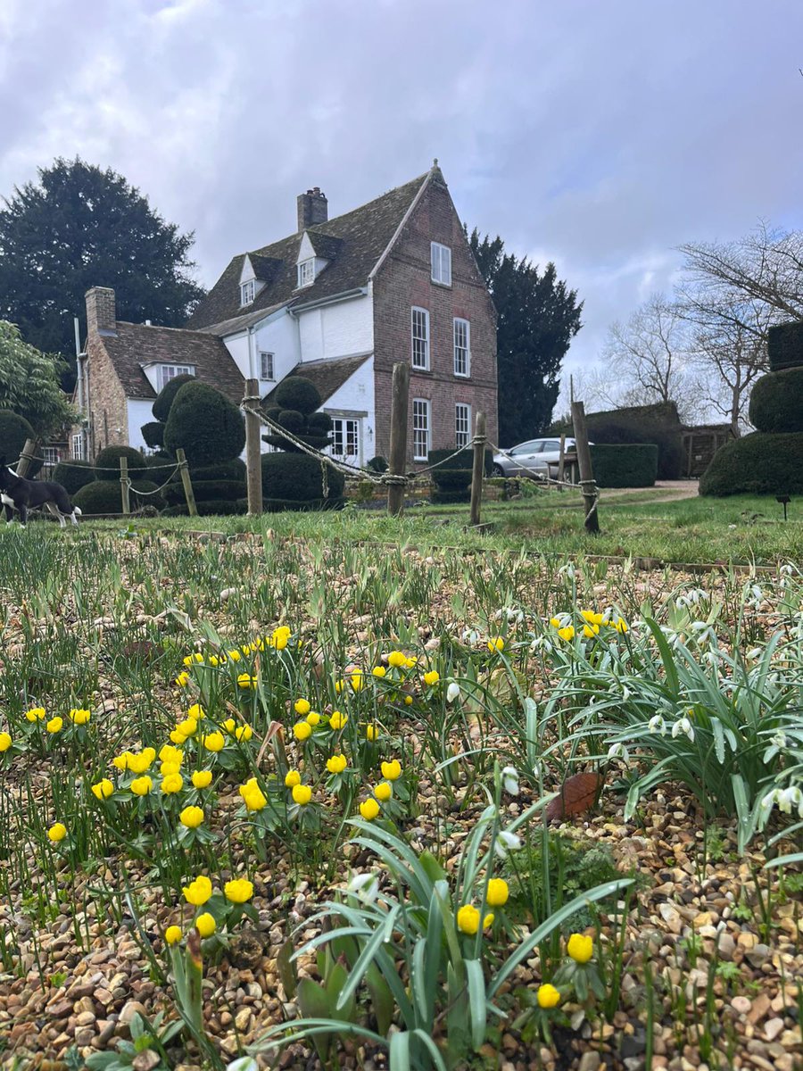 The Manor tweet media