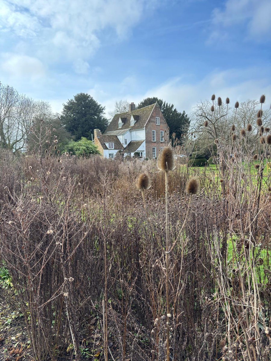 The Manor tweet media