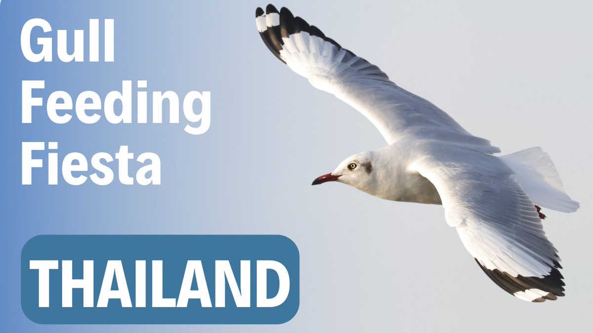 Nick Upton tweet media