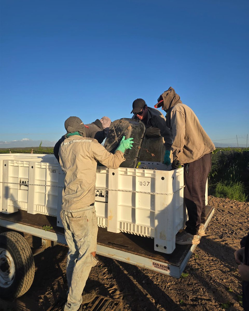 Altos Las Hormigas tweet media
