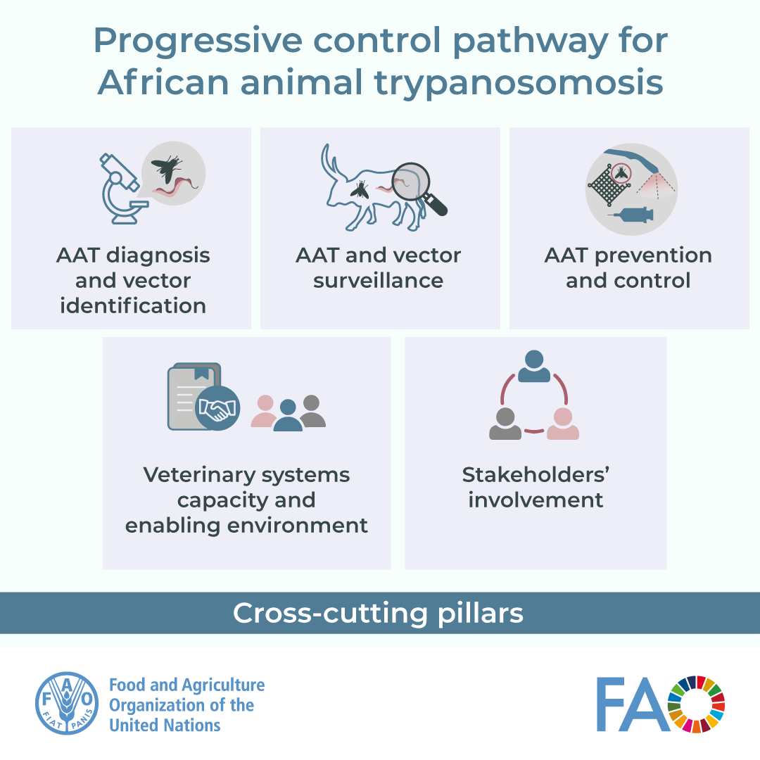 FAO Livestock tweet media