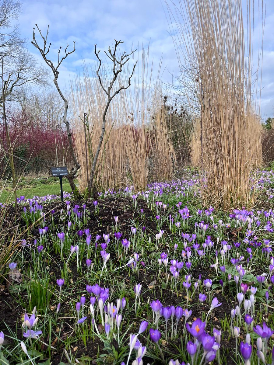 The Manor tweet media